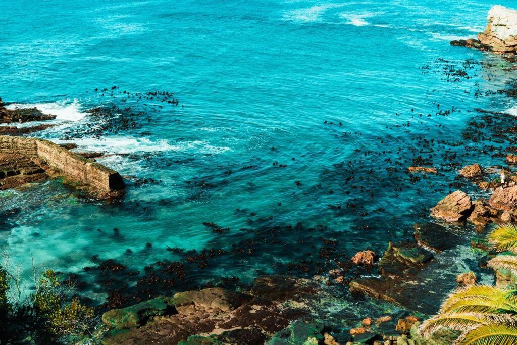 Imoyo Ocean Hermanus